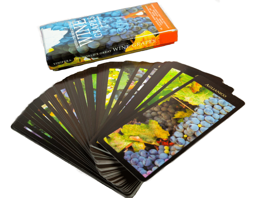Educational Card Deck Example
